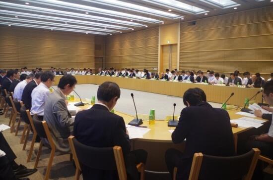 画像：第2回地方分権推進特別委員会の様子